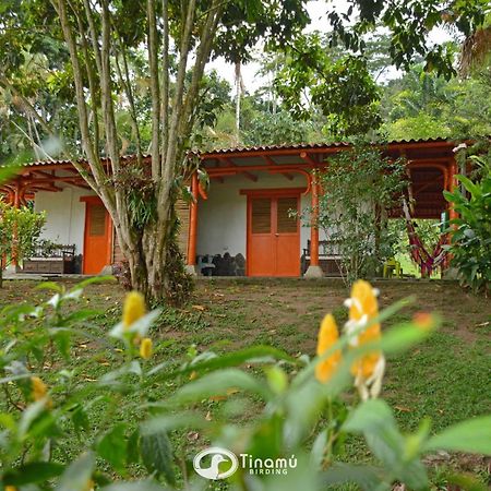 Hotel Tinamu Birding La Manuelita Exterior foto