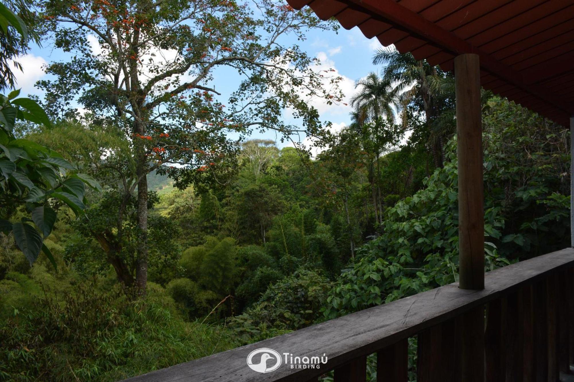 Hotel Tinamu Birding La Manuelita Exterior foto