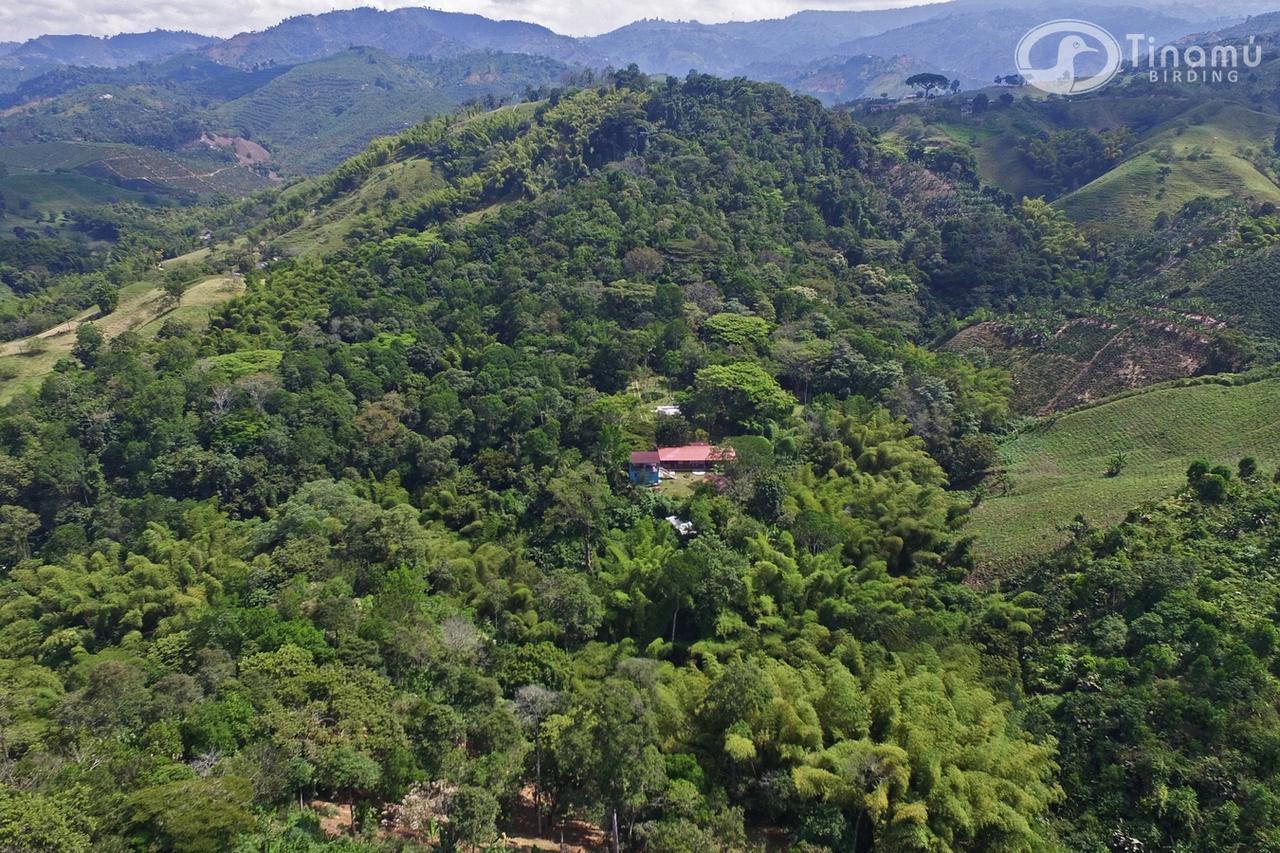 Hotel Tinamu Birding La Manuelita Exterior foto